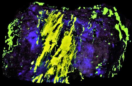 Fluorescent wispy esperite, hardystonite, willemite under shortwave UV light Fluorescent wispy esperite, hardystonite, willemite under shortwave UV light