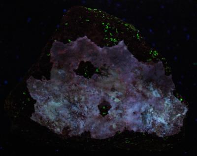 Aragonite coating on calcite / willemite / franklinite ore, Buckwheat Dump Franklin under longwave UV Light