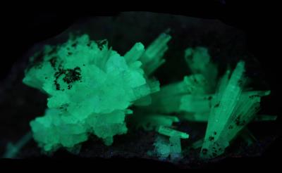 Aragonite crystals on matrix, "mud zone," from Sterling Hill Mine under shortwave UV Light