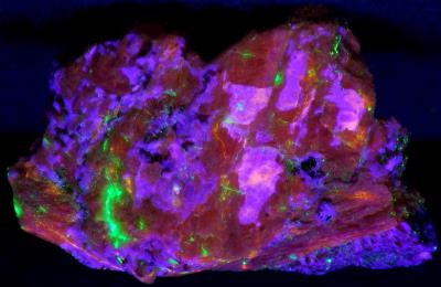 Bustamite, hardystonite, with minor willemite, franklinite and clinohedrite, from Franklin, NJ. under shortwave UV Light