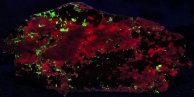 Bustamite, andradite garnet and minor willemite from Franklin, NJ under longwave UV Light