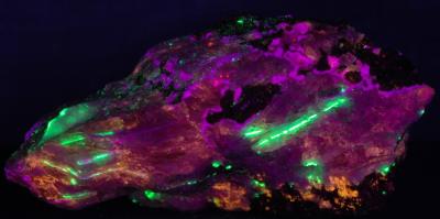 Bustamite, hardystonite, clinohedrite, andradite garnet, willemite and apatite crystal from Franklin, NJ under shortwave UV Light