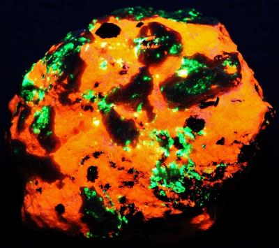 Bustamite crystals, calcite, hendricksite mica with minor andradite garnet, willemite and franklinite from Franklin, NJ under shortwave UV Light