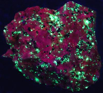 Dark Pink Fluorescent Calcite, willemite, franklinite and zincite, Trotter Dump, Franklin NJ. under shortwave UV Light