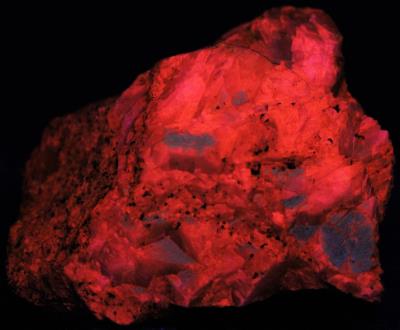 Calcite (mid-wave) and minor franklinite, from the Buckwheat Dump, Franklin NJ. Photo by WP. under shortwave UV Light