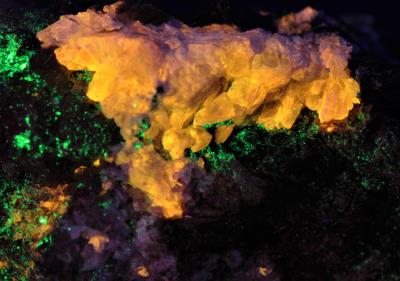 Amethystine clinohedrite crystals, hancockite, andradite, hendricksite, minor willemite, from Franklin, NJ under shortwave UV Light