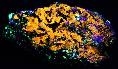 Clinohedrite, hardystonite, willemite, diopside, andradite garnet and franklinite from Franklin, NJ under shortwave UV Light