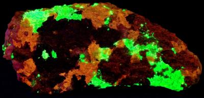 Fluorapatite, garnet, feldspar and willemite from Franklin, NJ. under shortwave UV Light