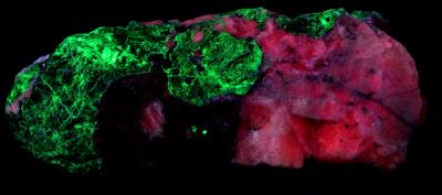 Fluorapatite, grape willemite, calcite and franklinite from Franklin, NJ under midwave UV Light