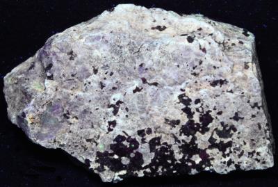 Hardystonite (SW FL lilac, LW FL cream), willemite, franklinite, Franklin NJ under longwave UV Light