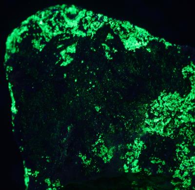 Kottigite crystal sprays on willemite, calcite and franklinite ore from Sterling Hill Mine, NJ under shortwave UV Light