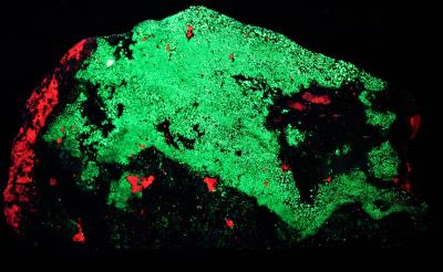 Petedunnite, willemite, microcline, calcite, hematite and quartz from Buckwheat Dump, Franklin, NJ under shortwave UV Light