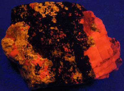 Turneaureite, calcite, andradite, franklinite, Franklin Mine under shortwave UV Light