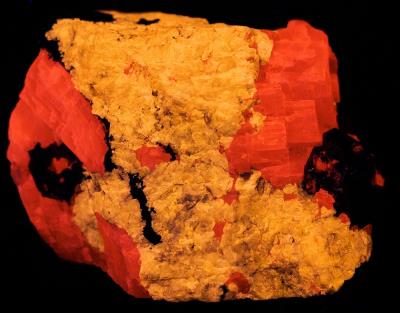 Turneaureite, calcite, andradite garnet, and franklinite from Franklin, NJ under shortwave UV Light