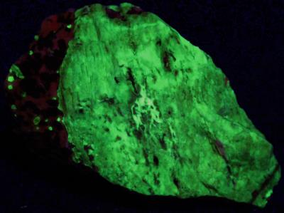Pink willemite with calcite and franklinite, from the Sterling Hill Mine NJ. under longwave UV Light