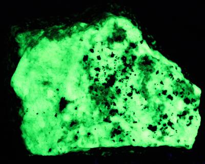 Green willemite, glaucochroite and franklinite, from Franklin, NJ. under longwave UV Light