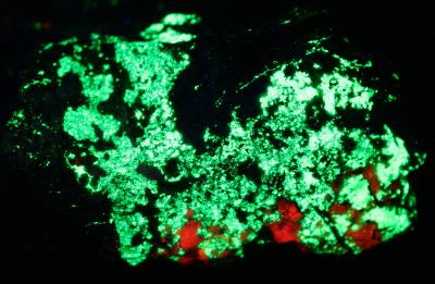 Cyprine (blue), willemite "blue", franklinite, andradite, hendricksite, Franklin under shortwave UV Light
