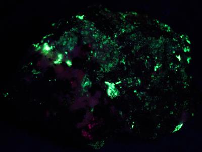 Vesuvianite variety cyprine, willemite, calcite, hendricksite mica and andradite garnet from Franklin, NJ under longwave UV Light