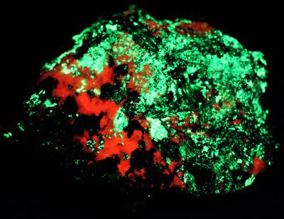 Vesuvianite variety cyprine, willemite, calcite, hendricksite mica and andradite garnet from Franklin, NJ under shortwave UV Light
