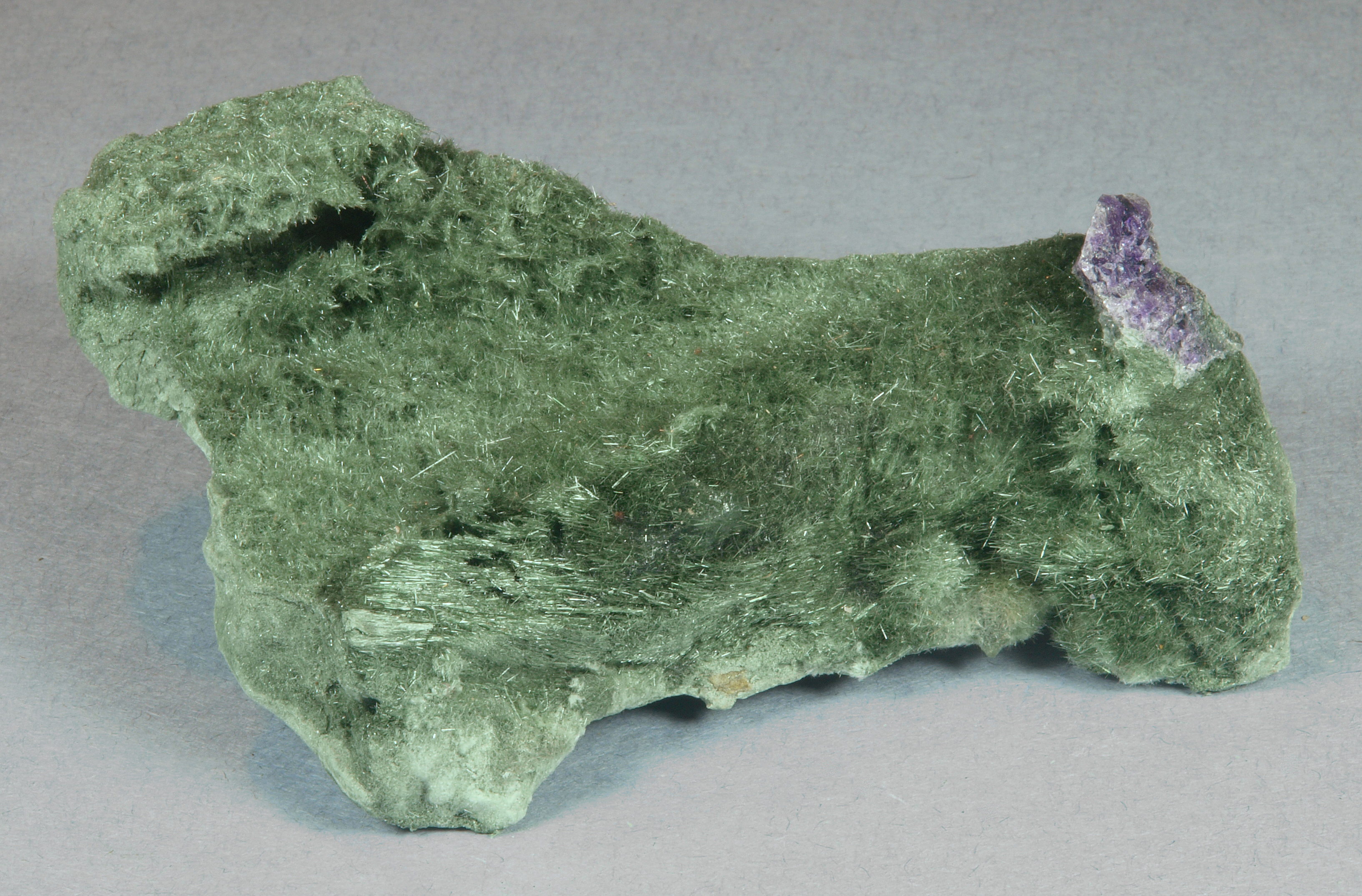 Delicate acicular crystals of green actinolite on a matrix of felted actinolite with minor purple fluorite 