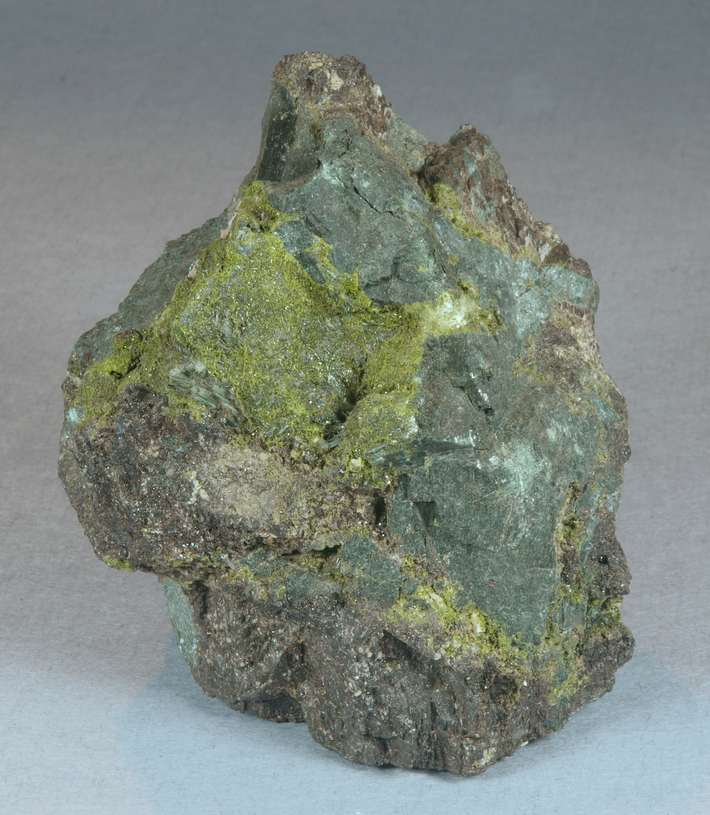 Dark green, rock-locked crystals of actinolite intergrown with massive, dark brown garnet
