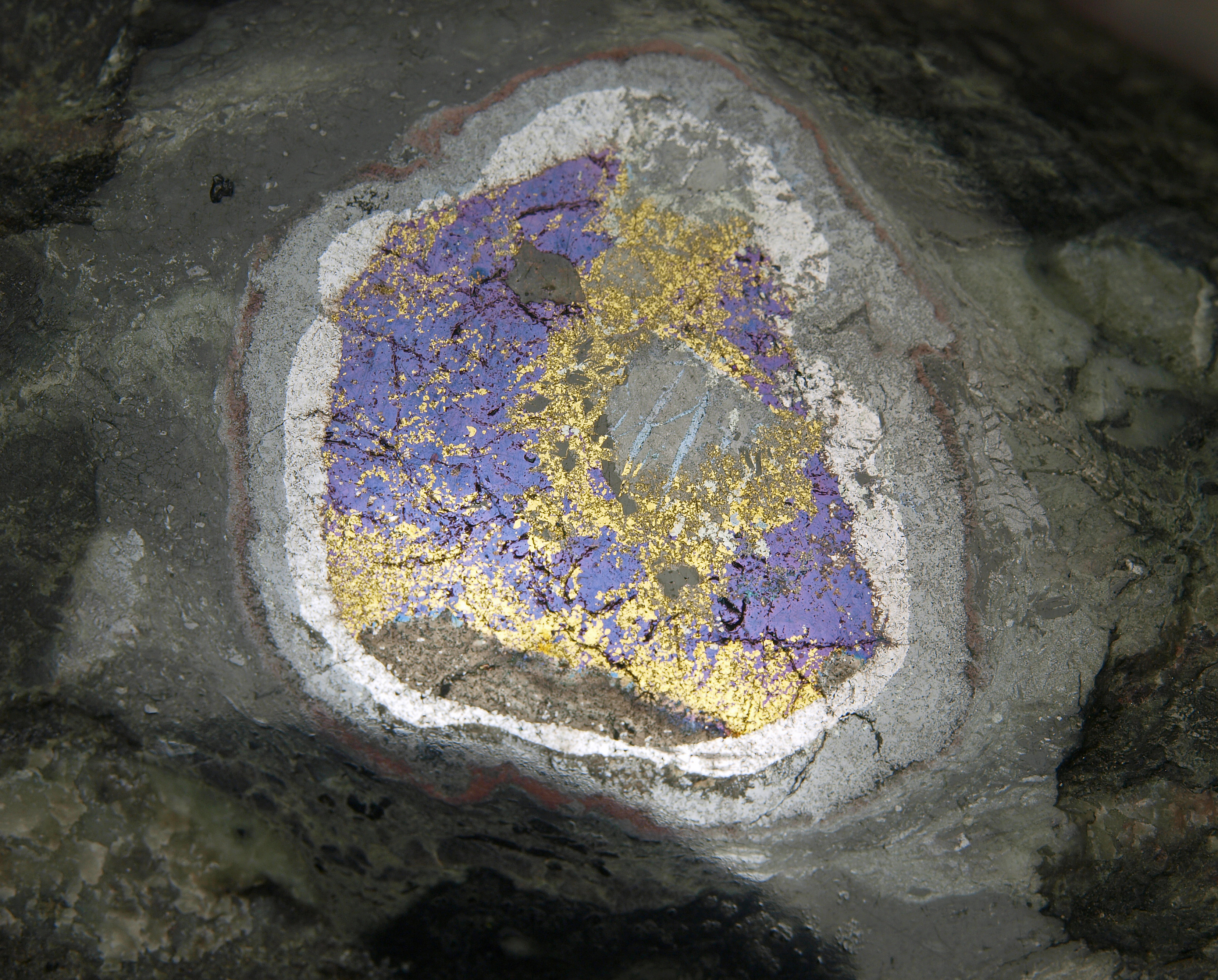 Bornite and chalcopyrite rimmed by magnetite and hematite, Sterling mine, Ogdensburg NJ