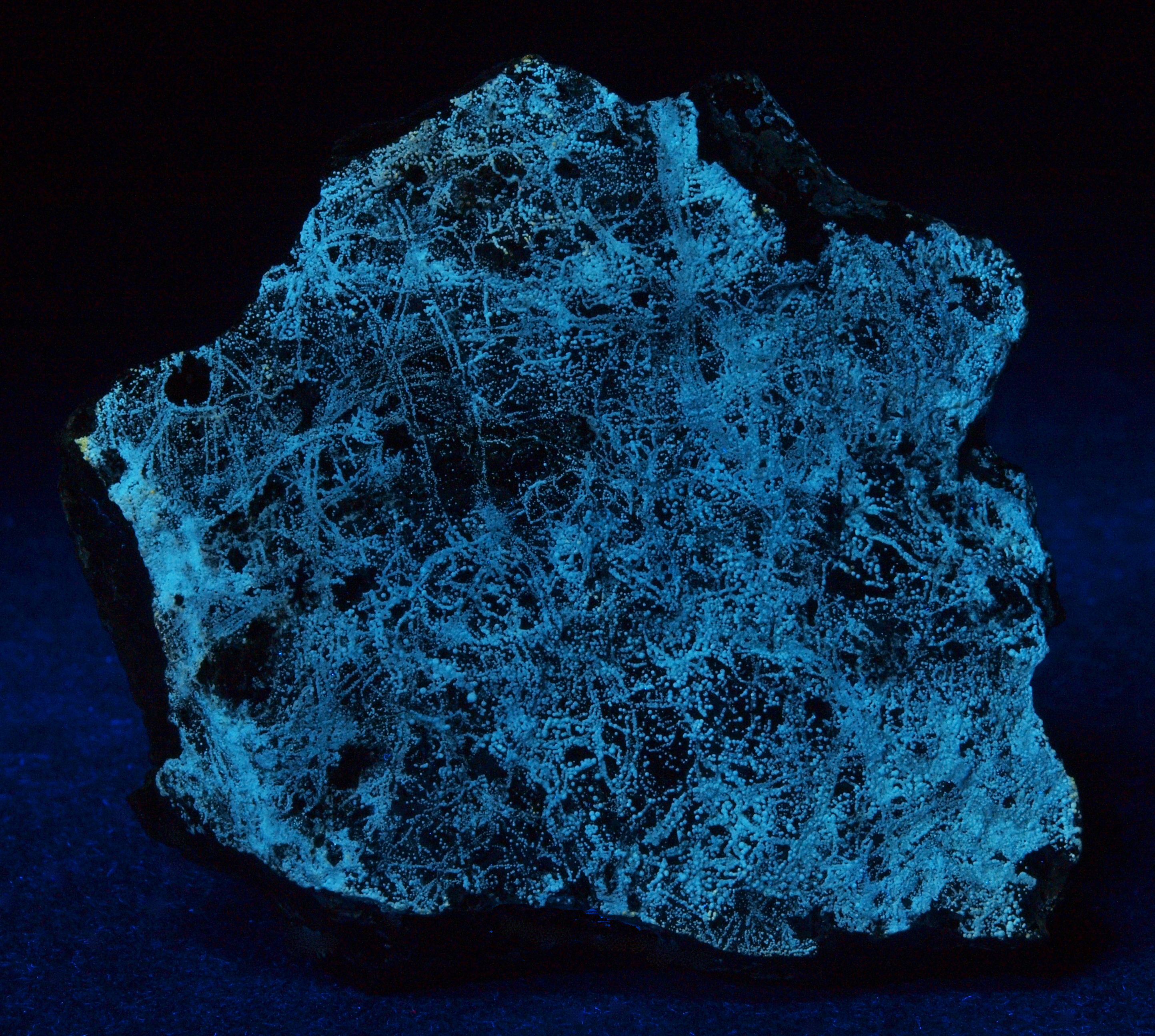 Platelike specimen with submillimeter spheroids of white dypingite under longwave UV Light