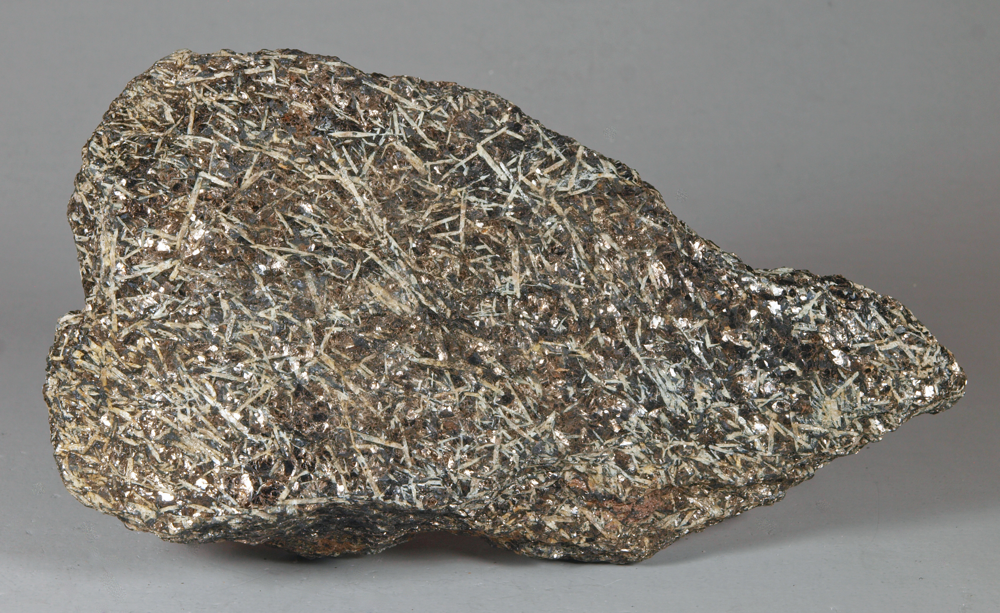 Small white crystals of sillimanite in biotite matrix in a specimen of biotite-feldspar-quartz gneiss 