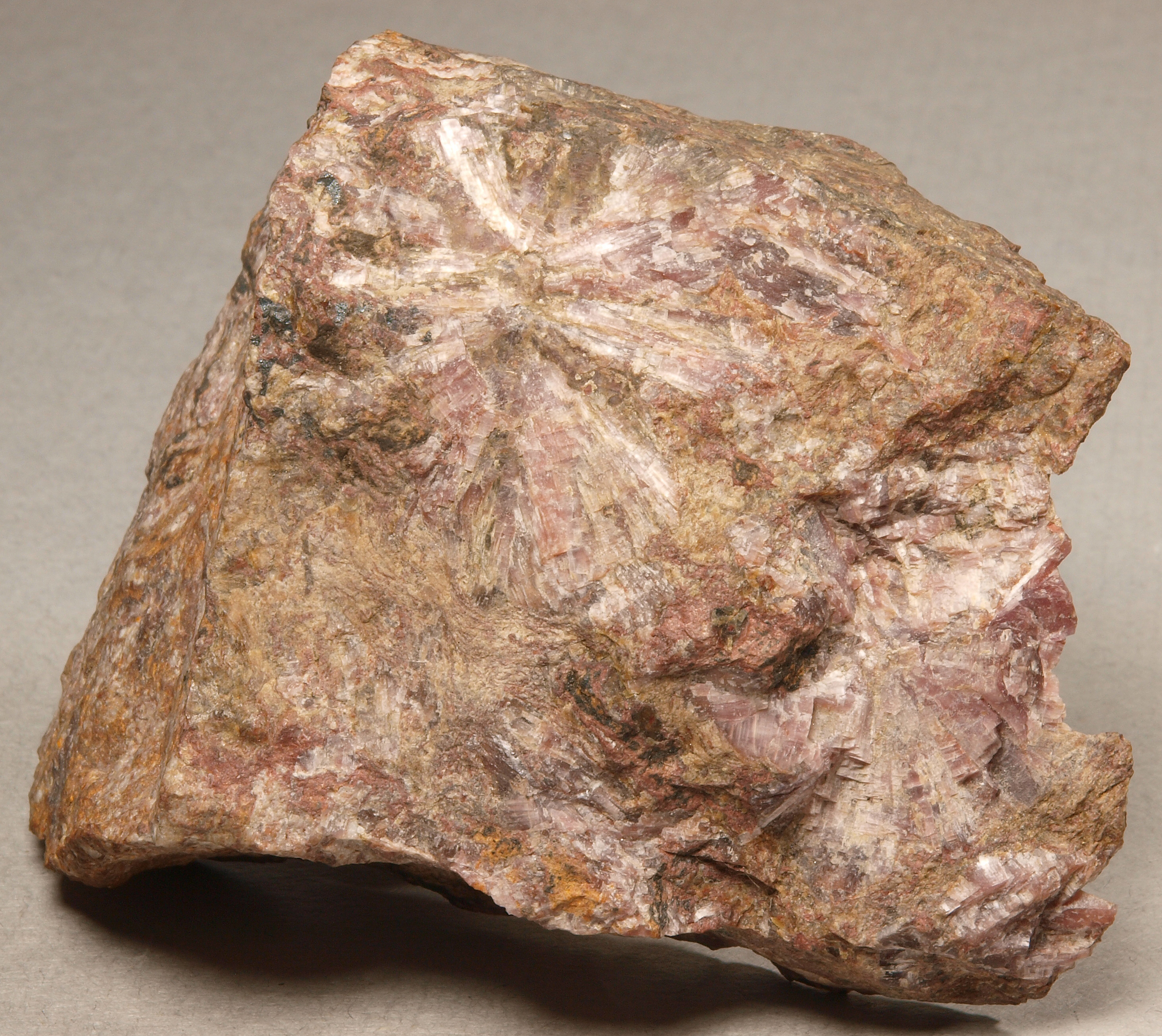 Radiating laths of purplish sussexite, North Orebody, Sterling mine, Ogdensburg